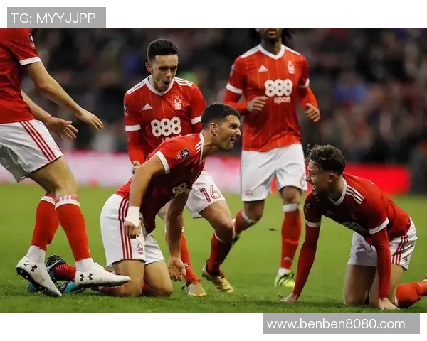 南安普顿主场迎战埃弗顿双方争夺英超宝贵积分之战 南安普顿主场迎战埃弗顿双方争夺英超宝贵积分之战